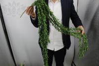 19670a5e-5a68-11f0-891b-246e9611e8f7-1