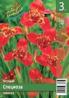 b350b202-63be-11e6-8572-001e673ebdea-1