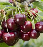 b4e6a348-bebe-11f0-891d-246e9611e8f7-1