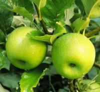 39f0fded-bb1c-11f0-891d-246e9611e8f7-1