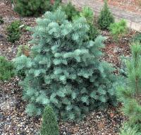 5f9a7074-d4e3-11f0-891e-246e9611e8f6-1