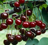 02b21069-be39-11f0-891d-246e9611e8f7-1