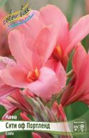 a13901b9-44e7-11e9-ab7c-005056c00008-1