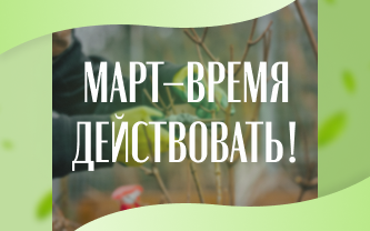 Подготовка участка к посадочному сезону