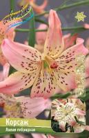 66c93a10-b39b-11ee-8bd7-001e673ebdea-1