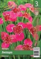 6b01b1fd-cad4-11e9-bd93-005056c00008-1