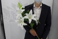 b59d3218-f2af-11ef-8915-246e9611e8f5-1