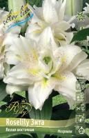 cf3b3a3c-f1dc-11e6-bb6f-001e673ebdea-1