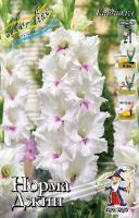 4643c38b-d792-11e9-9088-005056c00008-1