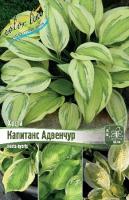 68d9f43c-9ba3-11e2-8061-00500454e615-1