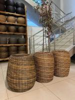 3352934f-50e9-11f0-891a-246e9611e8f6-1