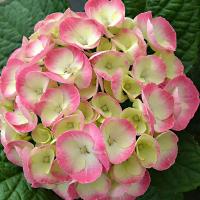 01d24cd2-c475-11f0-891d-246e9611e8f7-1