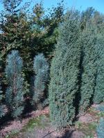 eddc72ff-cf9c-11e4-9bdf-001e673ebdea-1