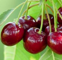 d421d7c6-cc0c-11ef-8915-246e9611e8f5-1