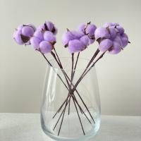 30e2a854-9d02-11ef-8912-246e9611e8f7-1