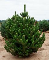 53d967d6-c2b3-11ef-8915-246e9611e8f5-1