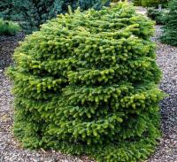 4338a940-f2a2-11e5-9ba7-001e673ebdea-1