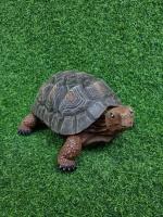 6c65c3b5-1455-11f0-8918-246e9611e8f6-1