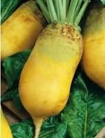 87bca767-b4ac-11e3-aae1-001e673ebde8-1