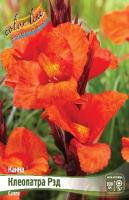 df308499-5608-11ea-ab37-005056c00008-1