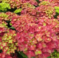 ca7c8114-c22d-11f0-891d-246e9611e8f7-1