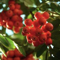 b3833e4b-bae3-11f0-891d-246e9611e8f7-1