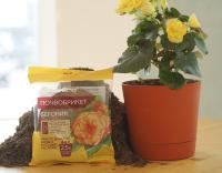 51f23067-bdfc-11ef-8914-246e9611e8f5-1