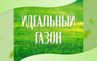 Полное руководство по созданию и уходу за газоном