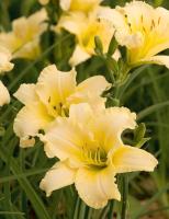 a87ef08d-6ef4-11ec-8bcd-005056c00008-1