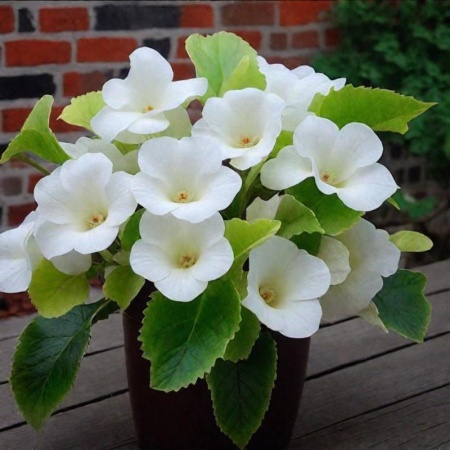 391ec21dd6a22863e02ccfaa07aa1568