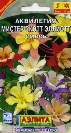 2c83a051-f2aa-11dd-867c-0019dbe91ea3-2