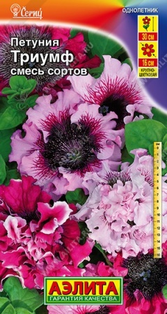 954d93ca-dcea-11dd-9138-00500454e615-1