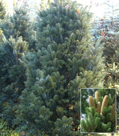 1259ae25-d4c8-11f0-891e-246e9611e8f6-1