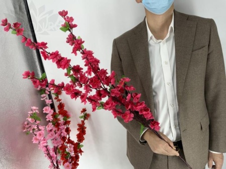 ded1b1a4-5a51-11f0-891b-246e9611e8f7-1