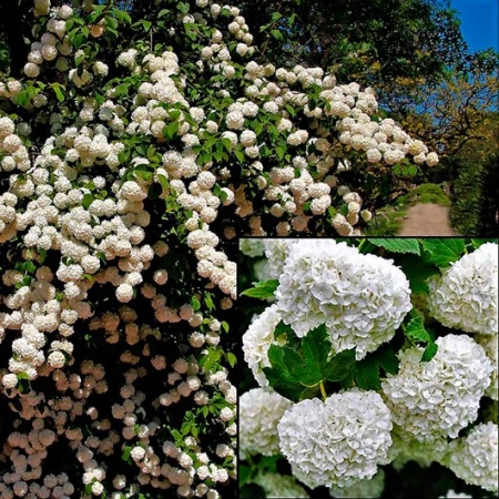 82af1979-c097-11ec-9a28-005056c00008-1