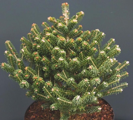 436a98c3-d4d8-11f0-891e-246e9611e8f6-1