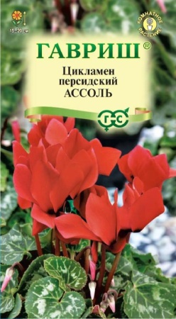 0416b1a0-c551-11de-87aa-0019dbe91ea3-1