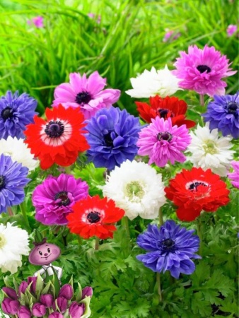 468bd10b-36d2-11ef-890e-246e9611e8f7-1