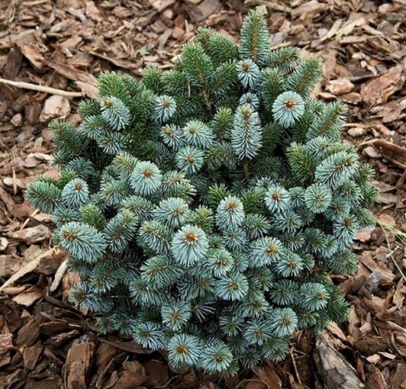 42b60250-d128-11f0-891e-246e9611e8f6-1