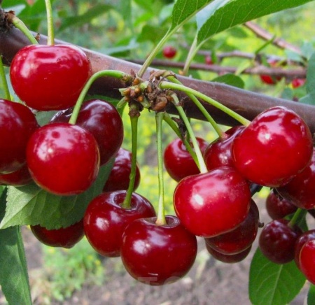 06a013c8-be41-11f0-891d-246e9611e8f7-1