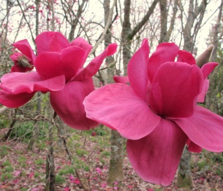 b97b24e5-d421-11f0-891e-246e9611e8f6-1