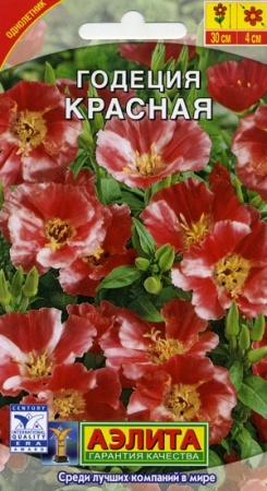 70f41b5b-dcea-11dd-9138-00500454e615-2