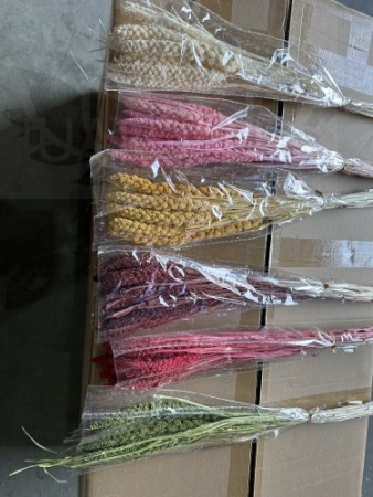 bdf25fda-9cfb-11ef-8912-246e9611e8f7-1