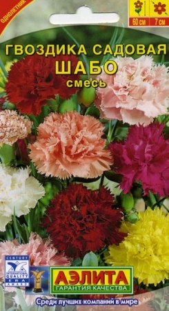 70f41aef-dcea-11dd-9138-00500454e615-2