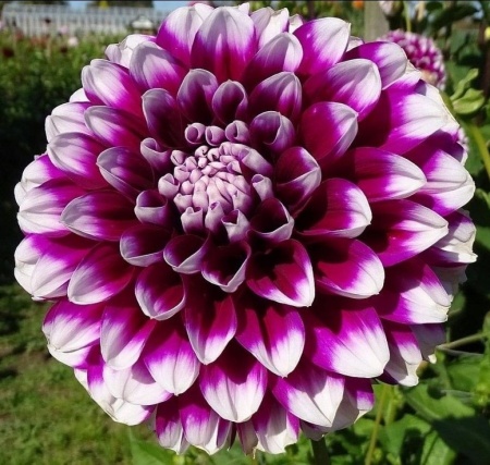 139f7531-2e90-11e8-a7ea-005056c00008-1