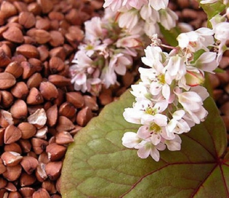 61e97d04-e453-11e6-bb6f-001e673ebdea-1