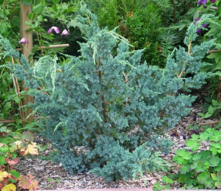 866ca523-3c96-11e8-8910-005056c00008-1