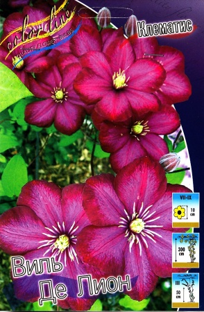 6b950128-2ce2-11df-a2b0-00235435134b-1