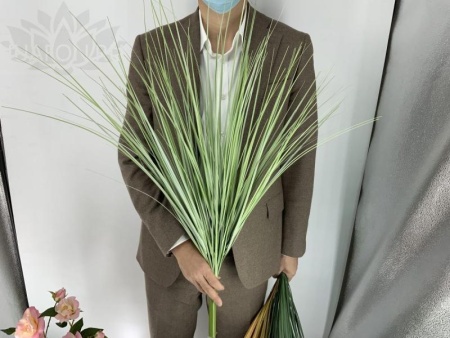 05955851-5a5d-11f0-891b-246e9611e8f7-1