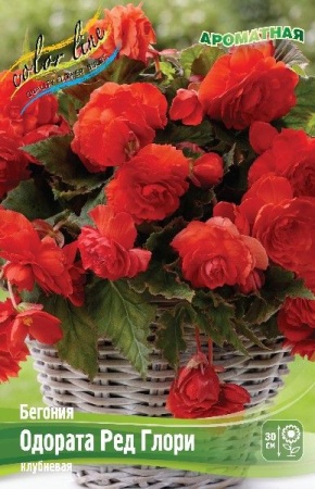 2a49dcde-b44a-11ee-8bd7-001e673ebdea-1